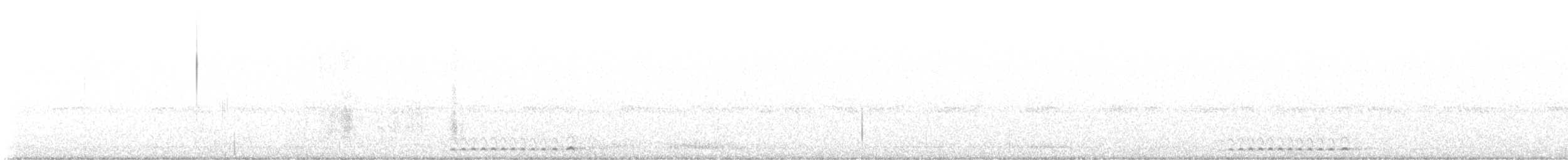 Сплюшка неотропічна - ML616081540