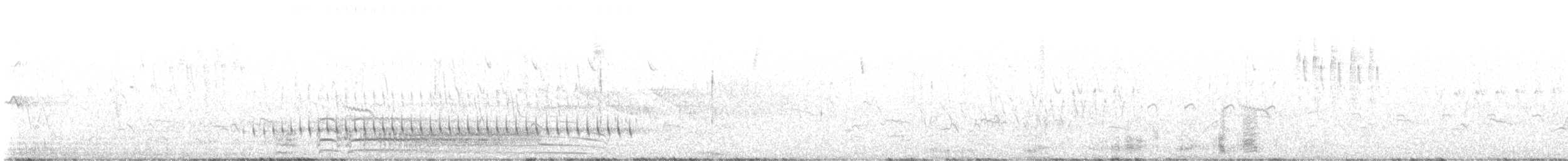 Olivscheitel-Bandvogel - ML616081902