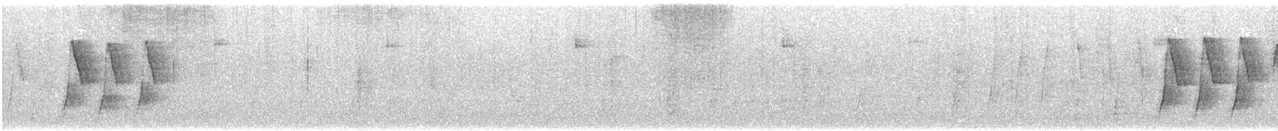 Xénodacnis mésange (petersi/bella) - ML616082254