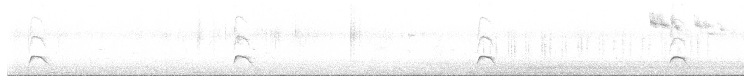Weißkronen-Olivtyrann - ML616083563