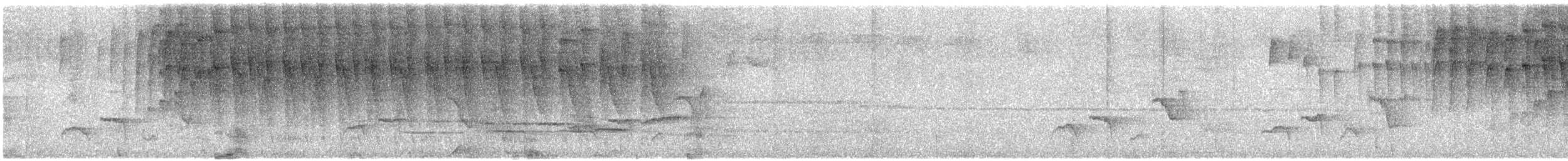Kara Kulaklı Hemispingus - ML616083854
