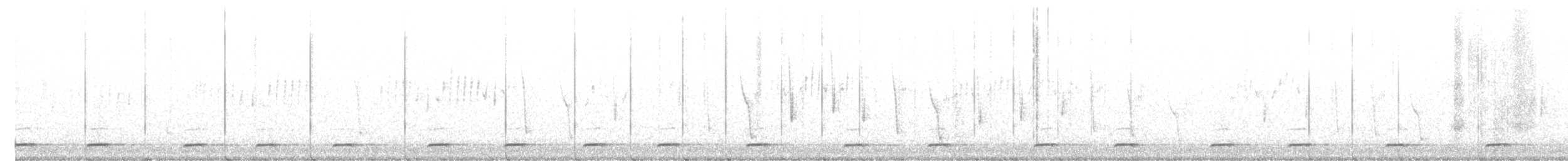 Northern Saw-whet Owl - ML616085729