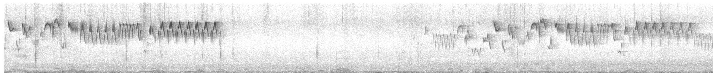 Тихоокеанский крапивник - ML616088793