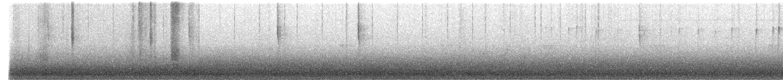 Troglodyte de Baird - ML616093208