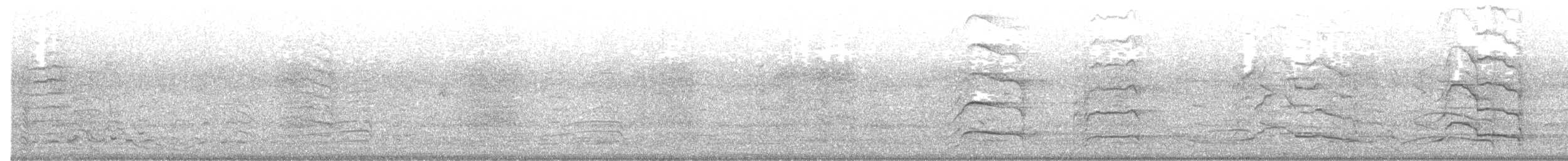 kakadu běloocasý - ML616094854