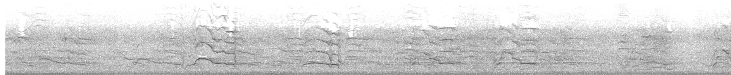 kakadu běloocasý - ML616095025
