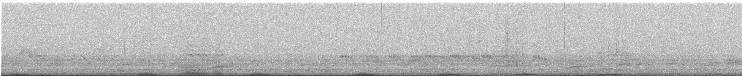 holub černopásý - ML616097305