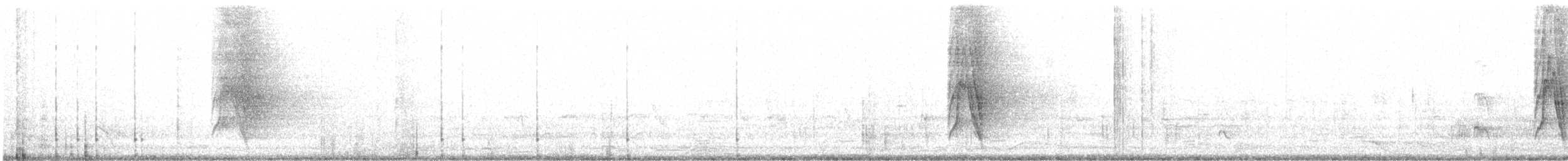 Weißbauch-Raupenfänger - ML616098272