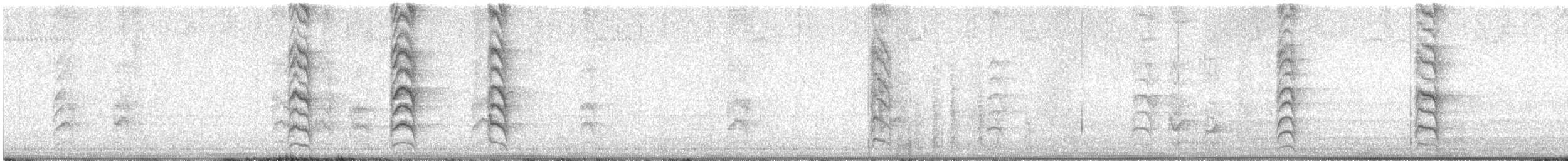 Белошапочный сорокопут - ML616098662