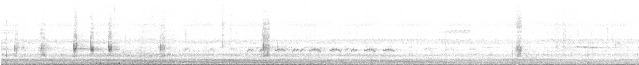 husice bělohlavá - ML616099085
