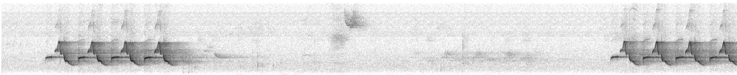 Каролинский крапивник - ML616106628