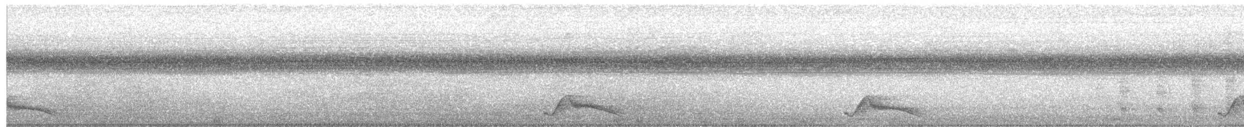 Pauraquenachtschwalbe - ML616109518