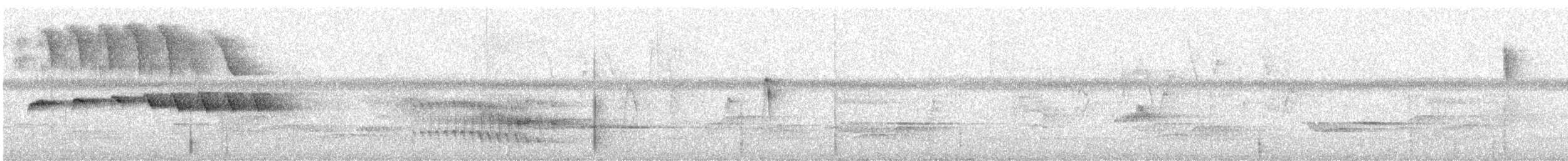 Grauscheitel-Ameisenvogel - ML616111806