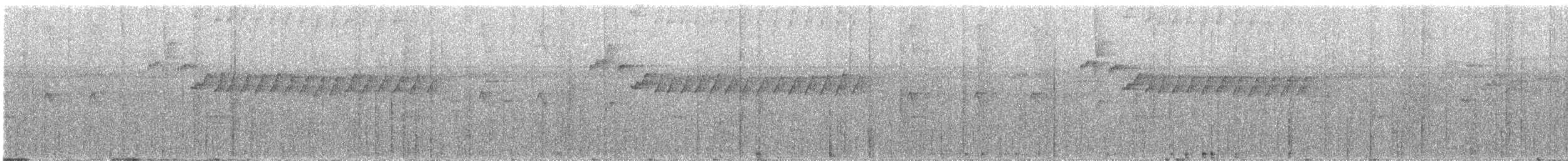Прямоклювый колибри-отшельник (bourcieri) - ML616113067