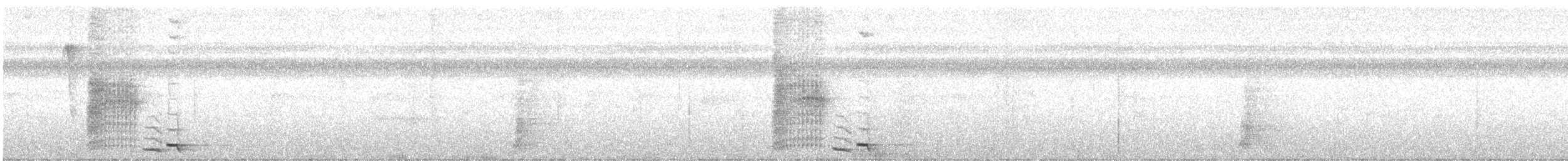 Troglodyte à ventre noir - ML616114582