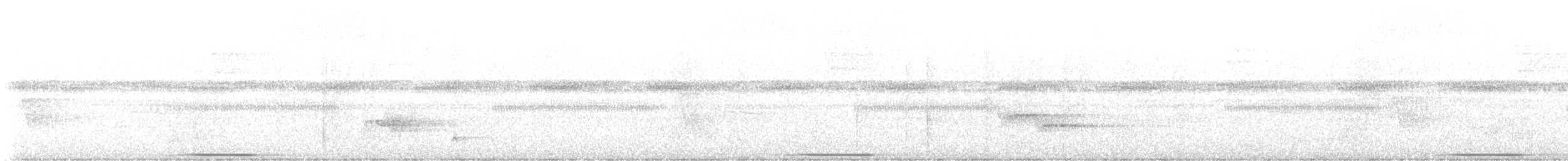 storvakteldue (linearis) - ML616115724