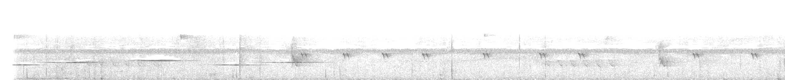 Northern Chestnut-breasted Wren - ML616119432