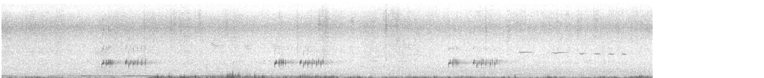 Western Grebe - ML616122728