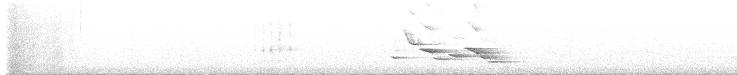 Chihuahuan Meadowlark - ML616123040