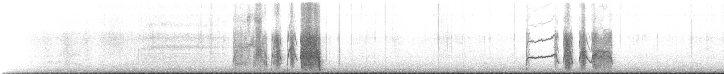 Puffinure de Magellan - ML616124707