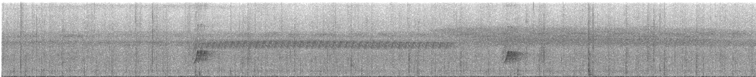 Серогрудый гусеницеед - ML616125050