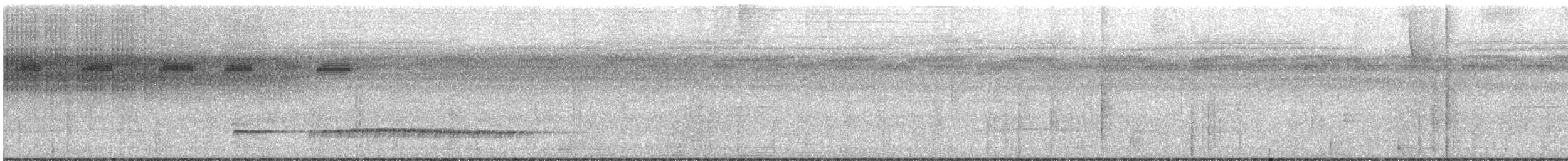Graubrust-Ameisendrossel - ML616125339
