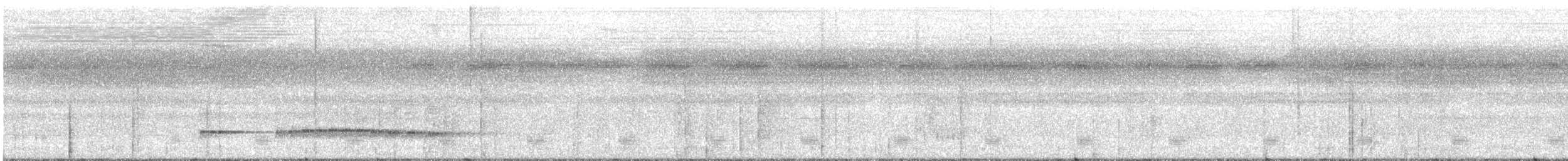 Graubrust-Ameisendrossel - ML616125341
