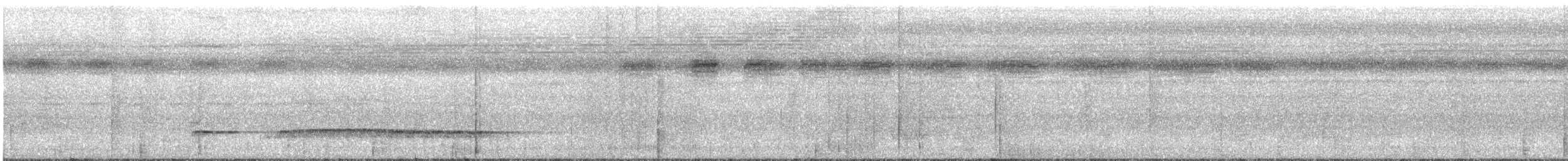Graubrust-Ameisendrossel - ML616125346