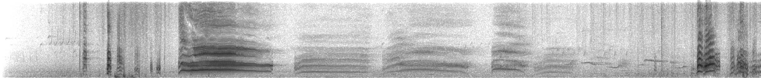 ギンカモメ（scopulinus） - ML616125797