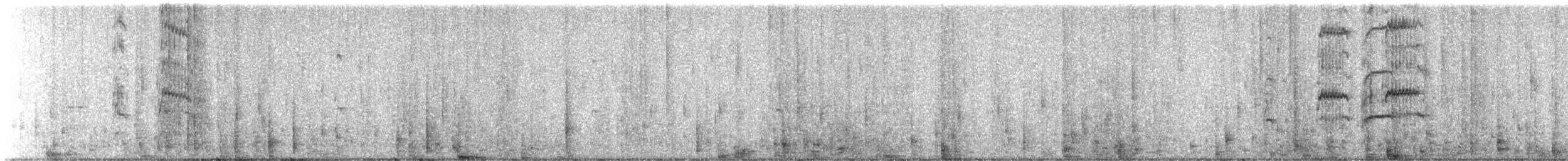 白嘴端燕鷗 - ML616127430