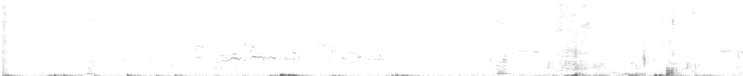 אווזון שחור-בטן - ML616128688