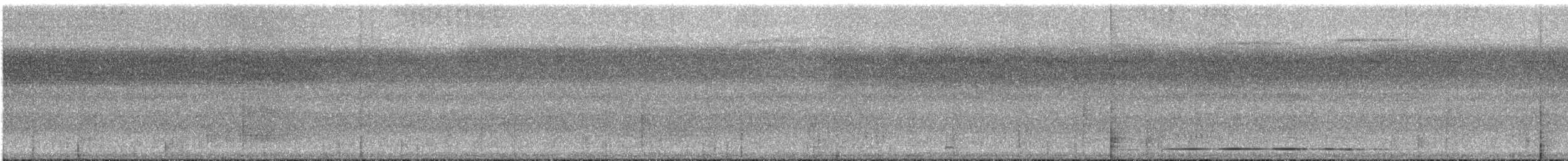 Strichelbrust-Ameisenpitta - ML616129902