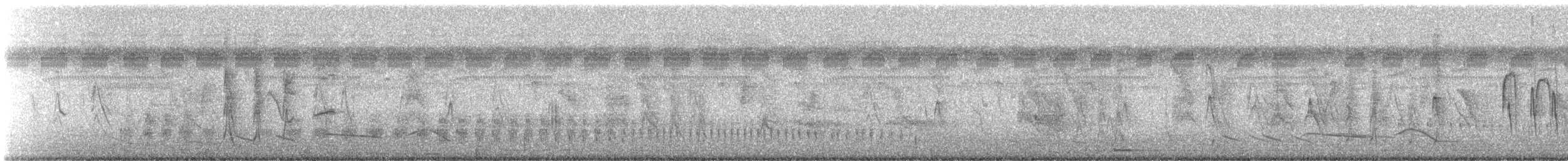 Nordstelzentyrann - ML61613091