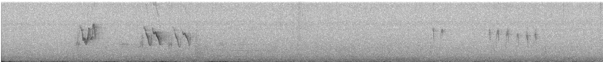 White Wagtail (Chinese) - ML616138928