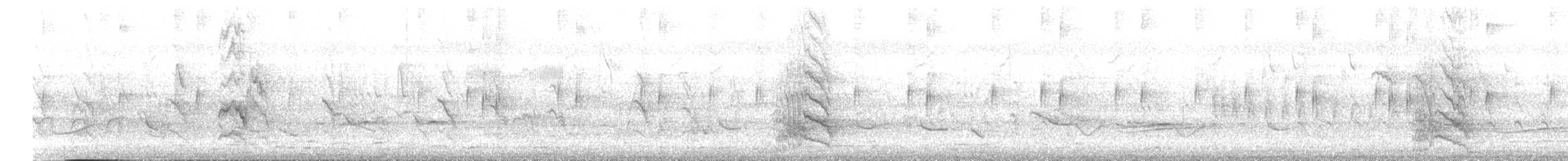 דררה אלכסנדרית (פליטת שבי) - ML616139521
