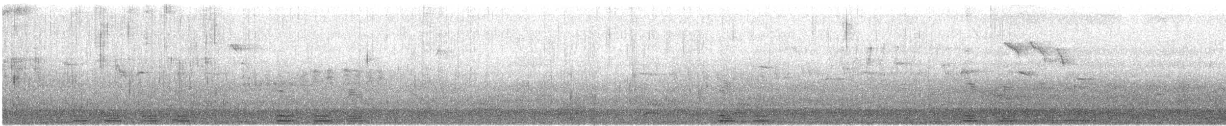 黃嘴天鵝 - ML616143494