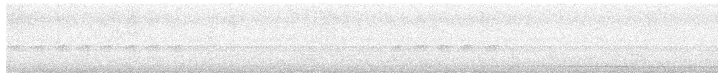 Chevêchette cuculoïde - ML616143631