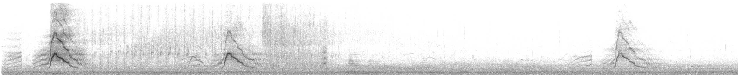 Canard siffleur - ML616143642