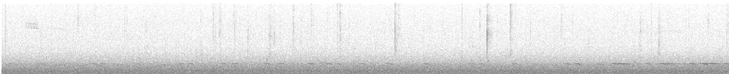 Common Scoter - ML616143677