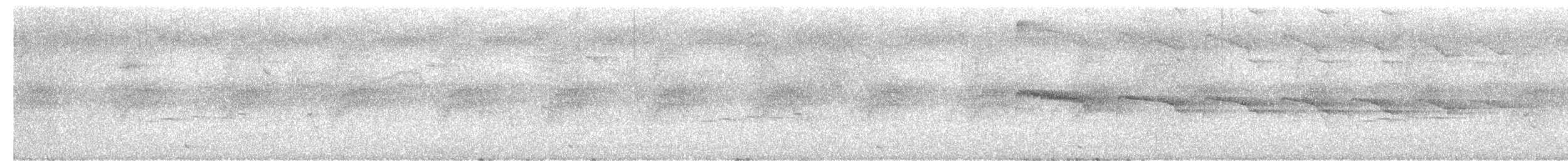 Eurylaime psittacin - ML616143932