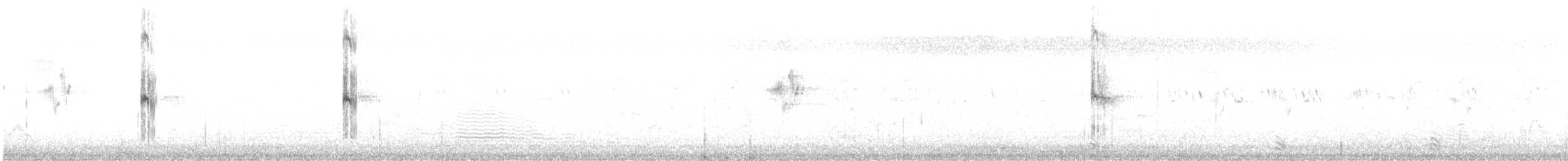 Weißbart-Seeschwalbe - ML616146276