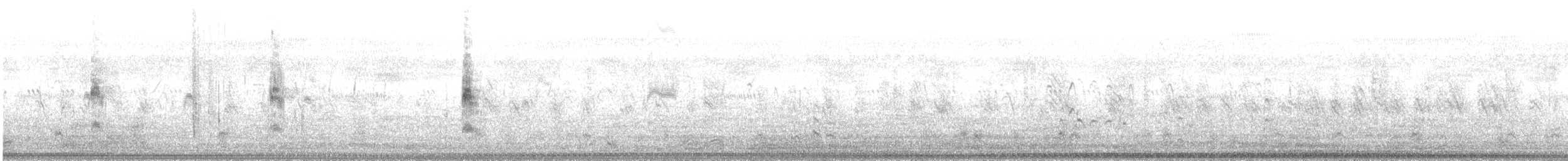 Weißbart-Seeschwalbe - ML616146295
