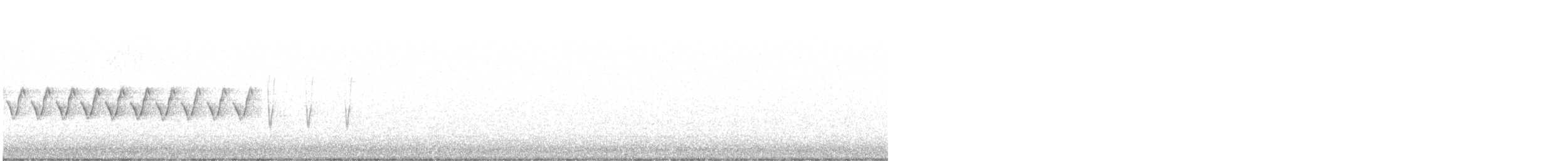 Шишкар ялиновий - ML616146459