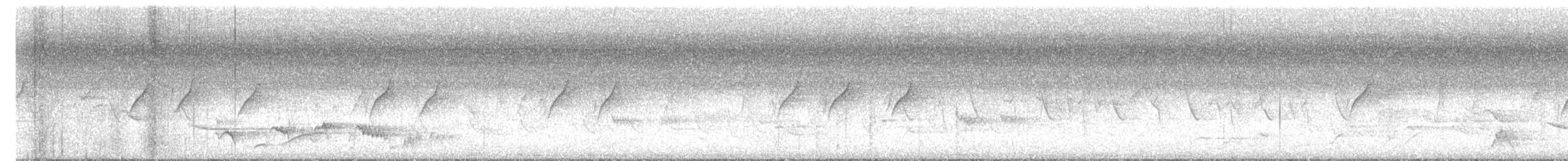 Атласная нектарница - ML616147198