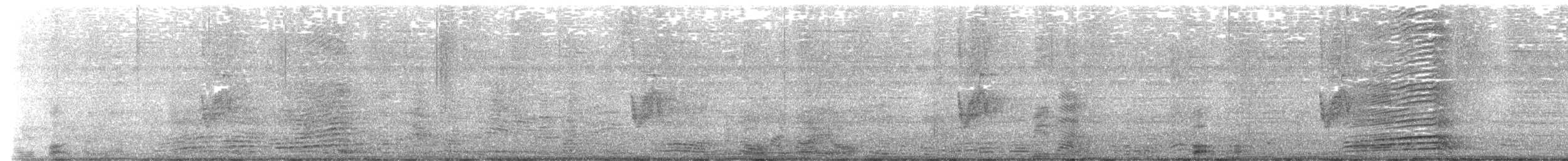 Savannennachtschwalbe [monticolus-Gruppe] - ML616147442