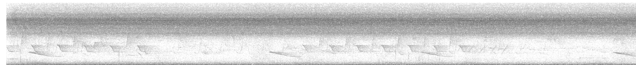 langhaleskredderfugl - ML616148131