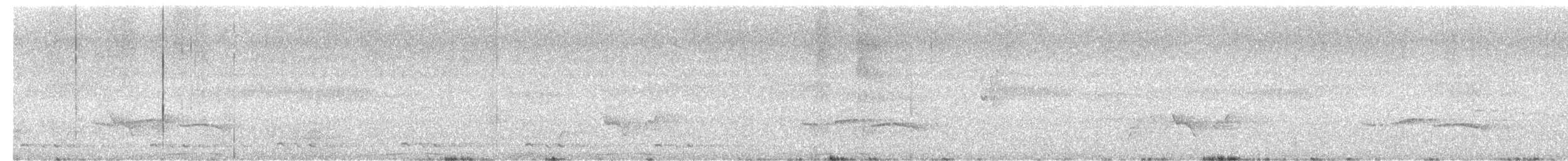 斑尾鵑鳩 - ML616149580