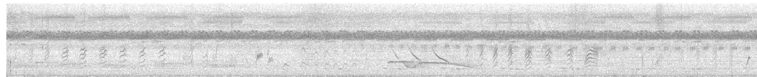 Great Eared-Nightjar - ML616150441