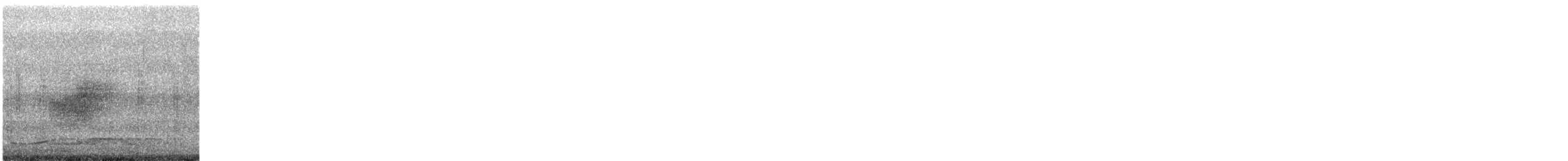 blåplystretrost (flavirostris gr.) - ML616151035