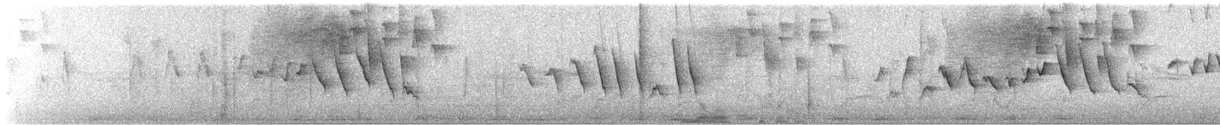 Northern/Mangrove Yellow Warbler - ML616151673